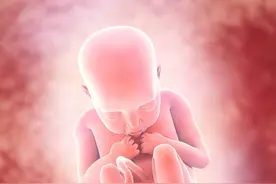 宫内缺氧，有哪些迹象?图片