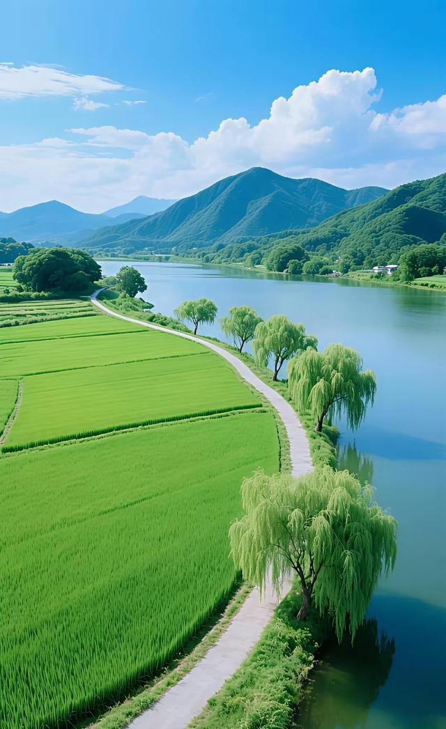 万物各成一景，确在风里相融