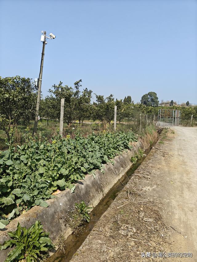 回顾一下今年春节，明天又要启程