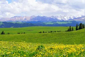 知名度不高的9个夏季小众草原，避暑消夏，徒步赏花好去处图片