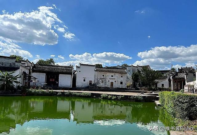 金华这个地方又火了，七彩油菜花全面开放，关键是免费