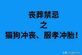 猫狗冲丧、服孝冲胎这些丧葬禁忌你知道多少？图片