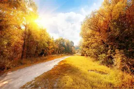 哥哥邀请我参加他儿子的婚礼，我直接回：没空！图片