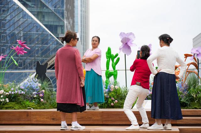 深圳湾“空中魔法走廊”引发广泛关注！2公里长廊开启逛吃游赏新体验