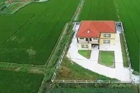 70年年代分的开荒地，如今被镇里收回，该如何维权？图片