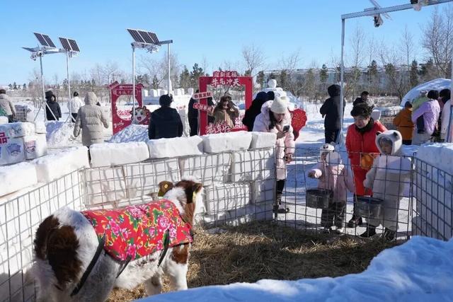 水晶花宫春节累计接待破4万！马年第一波出游热势不可挡