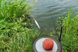 长竿钓鲫鱼，用多大的浮漂？鱼竿超过5.4，得这样选漂！图片