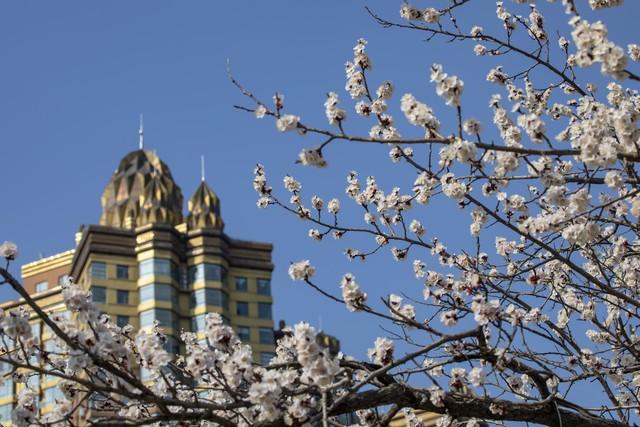 不管你信不信，女性过63岁后，基本都有如下6个现状！要坦然接受