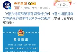 警方通报胖猫事件，谭竹被冤，姐姐造谣被罚，网友喊话赵樱子道歉图片
