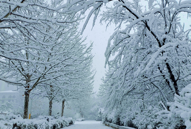 这不是迷信！“最怕立冬是雨天”，今日立冬，下雨啥预兆？