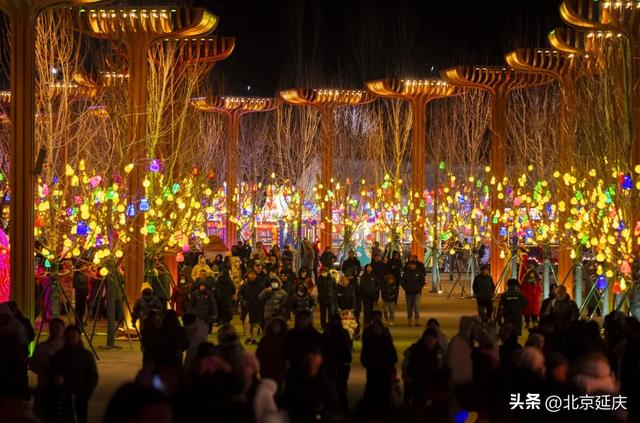 世园“天宫灯会”闪耀延庆