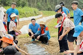 躬耕学农事 实践觅真知——南宁市滨湖路小学教育集团英华校区开展劳动研学实践活动图片