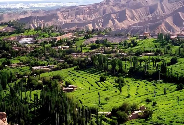 游新疆吐鲁番的坎儿井和葡萄沟