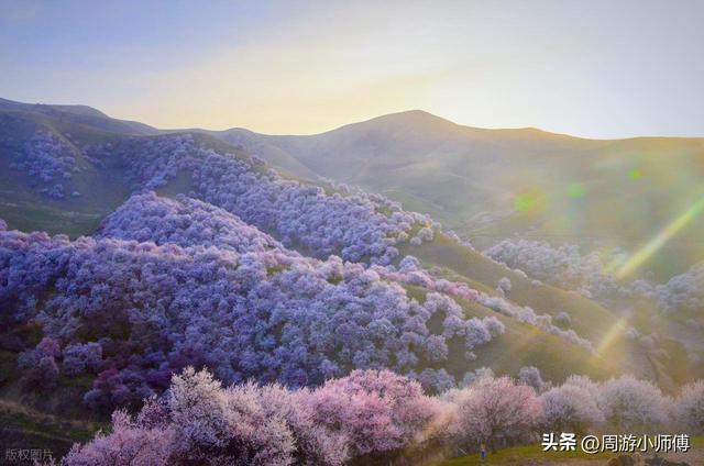 2026年4月去哪玩？国内精华10个自驾目的地路线地图集锦推荐