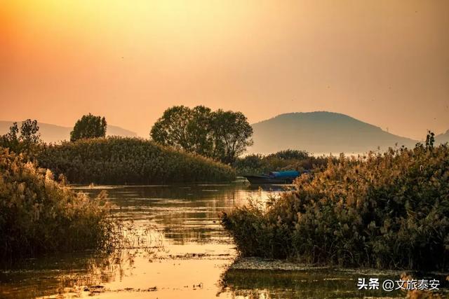 静湖、暖阳、慢时光！入冬后的东平湖已经美成人间的童话啦~