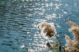 10首经典励志古诗词，句句激励人生，字字温暖心灵，读完信心满满图片