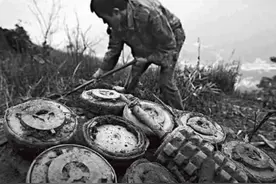 震惊世界的中越边境雷区，排雷有多难？上百万颗地雷至今无法排图片