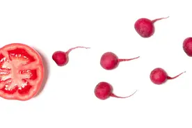 不能生育，可能是精子DNA“碎”了！图片