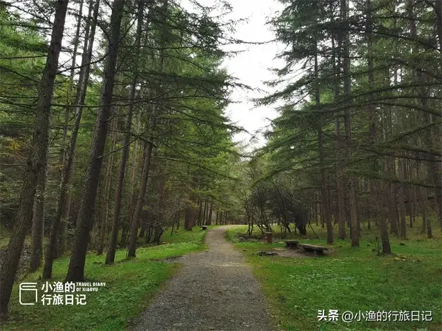 这座人口4万多的秦岭小城，夏天太太太舒服！气温22℃，超强避暑