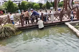 模子！74岁上海爷叔，在外旅游时干了一件大事，火了！图片
