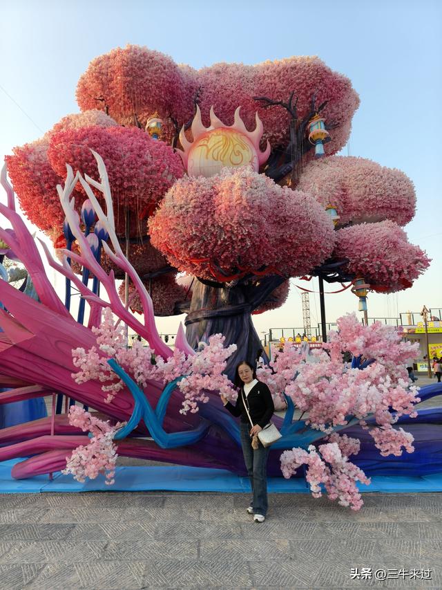 无为在歧路，淄博花灯齐彩城免票