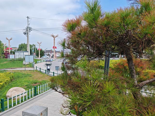 初秋时节探访礼泉县泥河生态公园