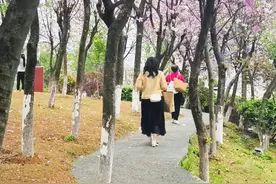 同学聚会，走着走着就散了，我们有4类同学已经聚不到一起了图片