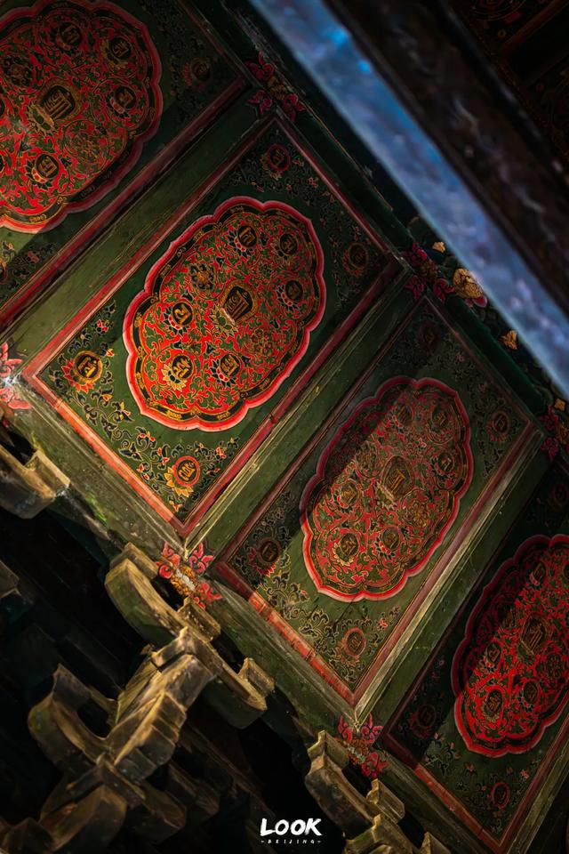 北京最新秋日打卡地 · 再看要等明年