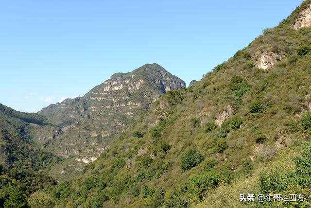延庆应梦寺（五）：山巅极目收千嶂，林海听风涤尘心