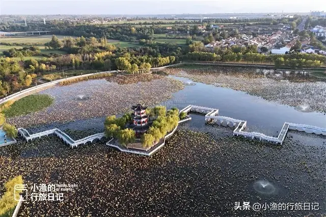 周末去哪玩？访古、赏红叶、咥美食！西安周边这个宝藏县城太好玩