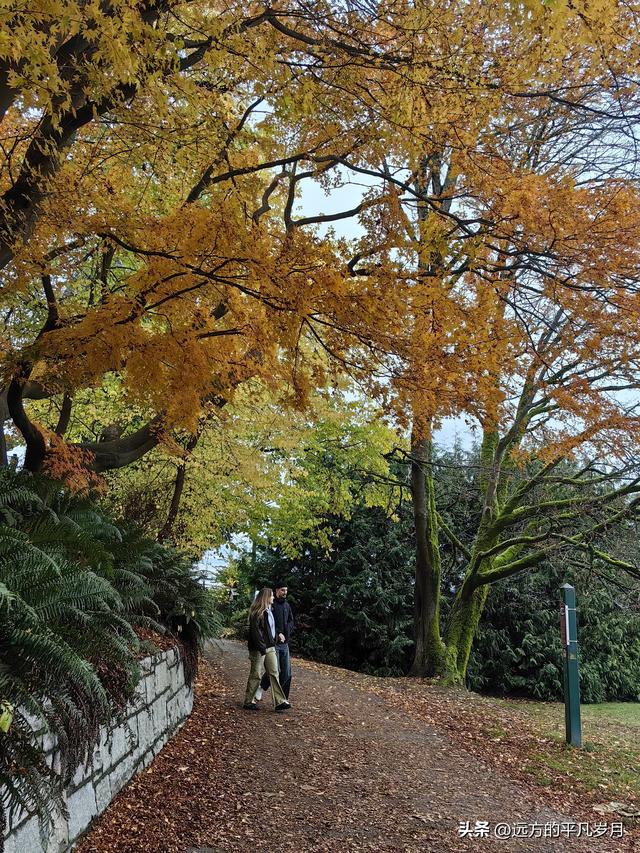 温哥华游记（五）