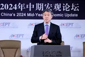 清华教授李稻葵：建议发放1万亿元消费券，消费上升企业回暖，税收就能上去！里外里中央财政不用花太多钱图片