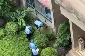 突发！重庆男子杀妻后跳楼，躯体分离，画面曝光，知情人曝内幕图片