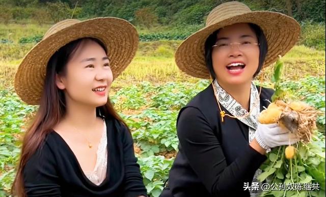 心乡谷国际营地，客流红火人欢喜：心花怒放自然疗愈，体验寻觅！