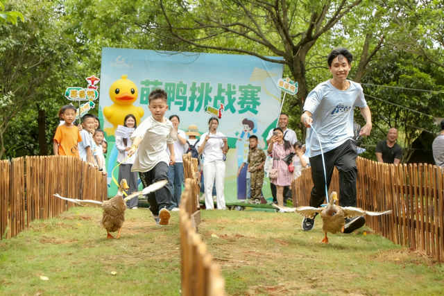 门票不限量免费送！明月山花海原居2月1日开园，解锁樱花美景+免票攻略+玩法指南！