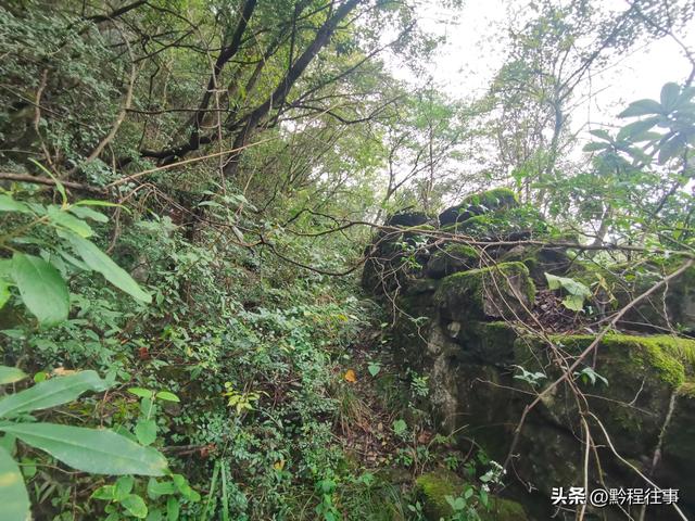 探寻龙眼山古寺遗址，一次最为艰难的野外探险之旅