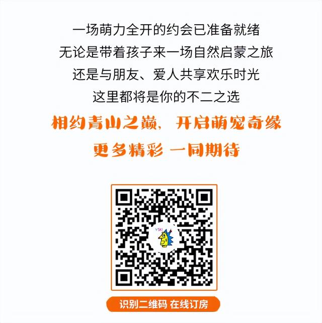 萌力全开 云端撒欢 | 松花湖萌宠乐园8月10日欢乐开园