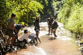 在云南样样好丨雨林有约，走起~图片