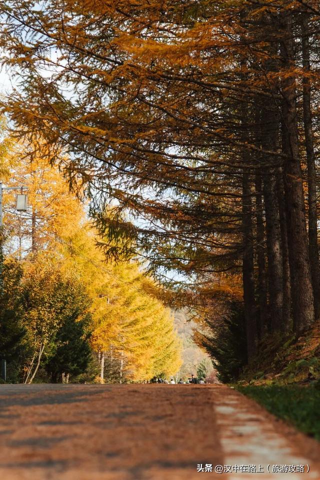 你的黎坪门票，在留坝还能这样用？紫柏山免费等你登顶！