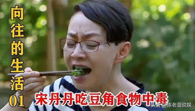 51岁主持人何炅近况:无妻无子、与保姆相伴,如今终于与自己和解