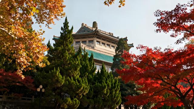 枫染东湖金菊绽，江天秋水共天长 —— 武汉清秋漫游志