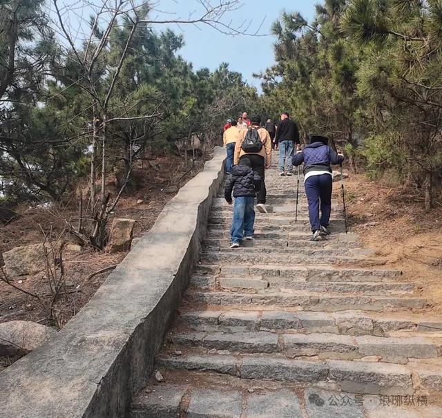 不收门票!临沂一景区火了,比收费的还值得去!