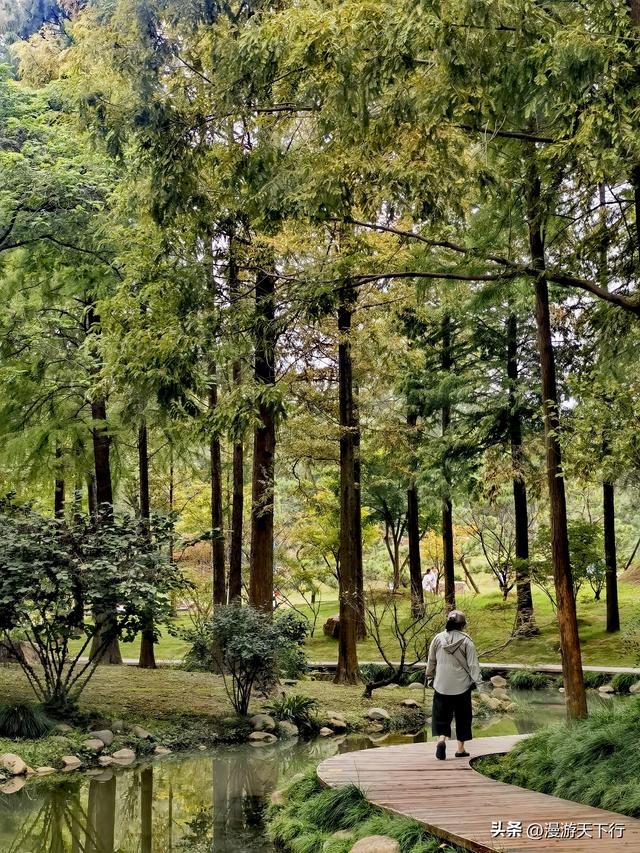 烟雨中重游瘦西湖，狂拍美景，整个人醉卧美景中