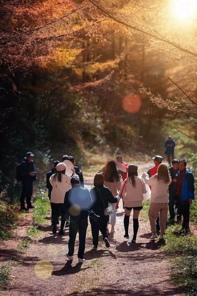 广元不远 周末优选 | 秋天的第一场旅行，坐高铁来广元“晒”秋吧！