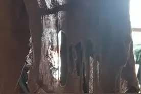 男人不管你信不信，谁和我在一起谁就没钱！图片