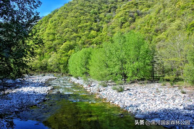 五一宝藏旅行地！2h直达秦岭天然森林氧吧