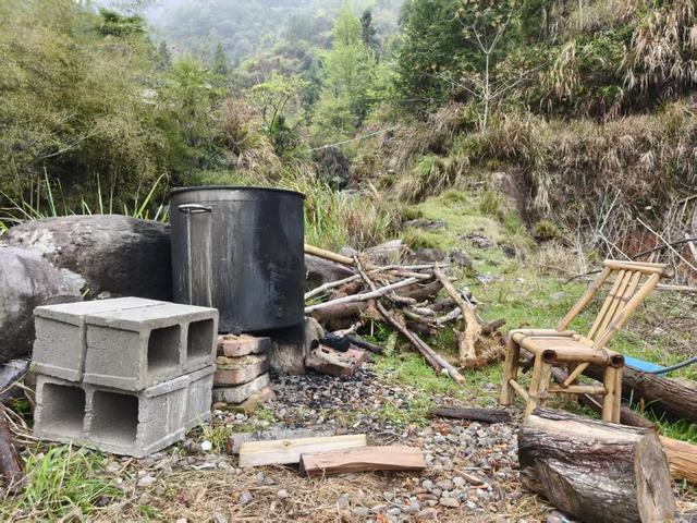 仙居县余下坑村，云卷云舒推窗风满帘，望水望山枝头花盈春