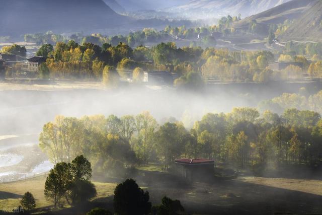 川西高原的绚烂秋天，10月中旬-11月上旬，这9个地方的高颜时刻