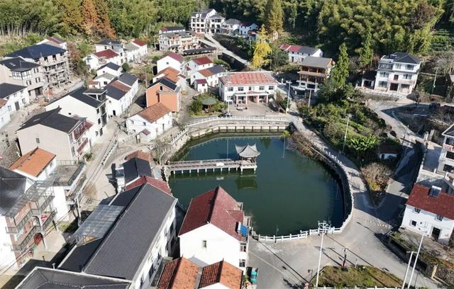 富阳这个网红村，游客车辆从山脚排到村里！