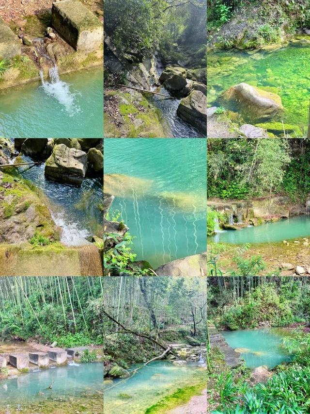 成都1h直达5000亩竹林，不费腿0门票，徒步挖笋玩水遛娃天花板！